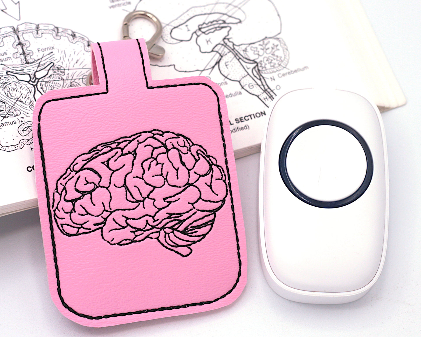 Brain Classroom Doorbell Holder